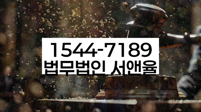경기도 안성시 금석동 면책확인의소