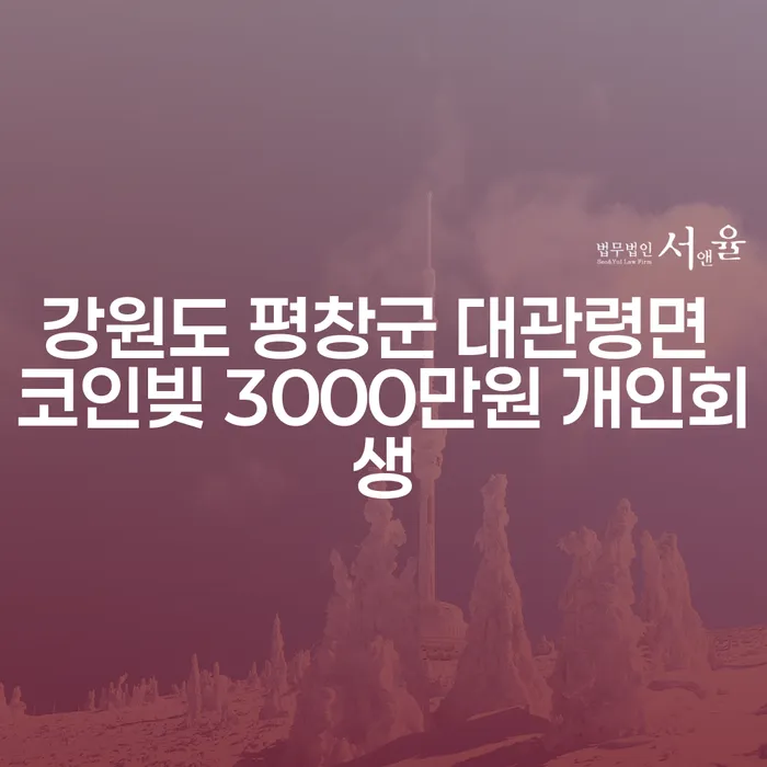 강원도 평창군 대관령면에서 코인빚 3000만원, 개인회생이 필요할 때 어떻게 해야 할까요?