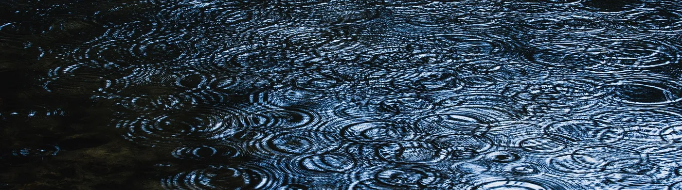 법무법인 서앤율