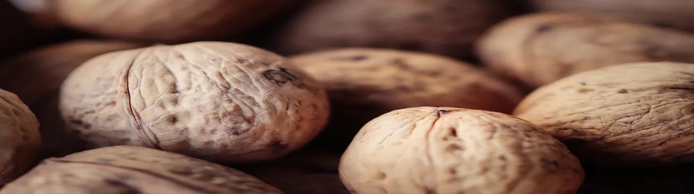 법무법인 서앤율